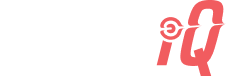 Dart IQ Footer Logo
